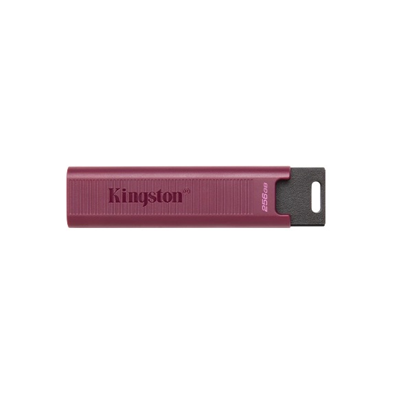 Флешка Kingston data traveler max 256Гб черный